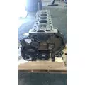 DETROIT DD13 Engine Assembly thumbnail 4