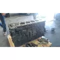 DETROIT DD13 Engine Assembly thumbnail 6