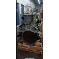 DETROIT DD13 Engine Assembly thumbnail 3