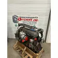 DETROIT DD13 Engine Assembly thumbnail 5