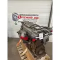 DETROIT DD13 Engine Assembly thumbnail 1