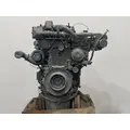 DETROIT DD13 Engine Assembly thumbnail 8