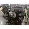 DETROIT DD13 Engine Assembly thumbnail 5