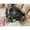 DETROIT DD13 Engine Assembly thumbnail 2