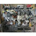 DETROIT DD13 Engine Assembly thumbnail 1