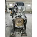 DETROIT DD13 Engine Assembly thumbnail 3