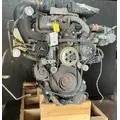 DETROIT DD13 Engine Assembly thumbnail 2