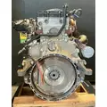 DETROIT DD13 Engine Assembly thumbnail 4