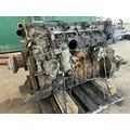 DETROIT DD13 Engine Assembly thumbnail 4