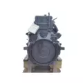 DETROIT DD15 (472906) ENGINE ASSEMBLY thumbnail 3