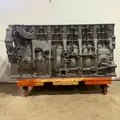 DETROIT DD15 Cylinder Block thumbnail 1