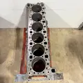 DETROIT DD15 Cylinder Block thumbnail 10