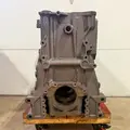 DETROIT DD15 Cylinder Block thumbnail 6