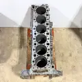 DETROIT DD15 Cylinder Block thumbnail 10