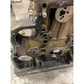 DETROIT DD15 Cylinder Block thumbnail 11