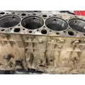 DETROIT DD15 Cylinder Block thumbnail 5