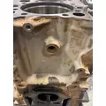 DETROIT DD15 Cylinder Block thumbnail 7