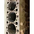 DETROIT DD15 Cylinder Block thumbnail 7