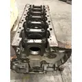 DETROIT DD15 Cylinder Block thumbnail 6