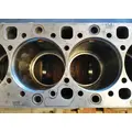 DETROIT DD15 Cylinder Block thumbnail 10