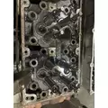 DETROIT DD15 Cylinder Head thumbnail 4