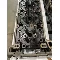 DETROIT DD15 Cylinder Head thumbnail 2