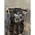 DETROIT DD15 Cylinder Head thumbnail 2