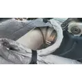 DETROIT DD15 DPF ASSEMBLY (DIESEL PARTICULATE FILTER) thumbnail 3