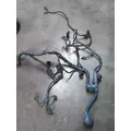 DETROIT DD15 ENGINE WIRING HARNESS thumbnail 2