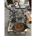 DETROIT DD15 Engine Assembly thumbnail 2