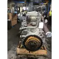 DETROIT DD15 Engine Assembly thumbnail 4