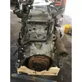 DETROIT DD15 Engine Assembly thumbnail 3