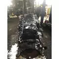 DETROIT DD15 Engine Assembly thumbnail 3