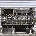 DETROIT DD15 Engine Assembly thumbnail 1