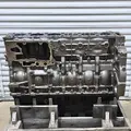 DETROIT DD15 Engine Assembly thumbnail 2