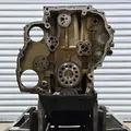 DETROIT DD15 Engine Assembly thumbnail 5