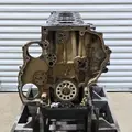 DETROIT DD15 Engine Assembly thumbnail 6