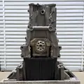 DETROIT DD15 Engine Assembly thumbnail 7