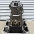 DETROIT DD15 Engine Assembly thumbnail 8
