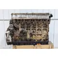 DETROIT DD15 Engine Assembly thumbnail 5