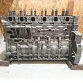 DETROIT DD15 Engine Assembly thumbnail 1