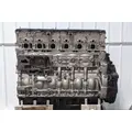 DETROIT DD15 Engine Assembly thumbnail 1