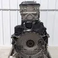 DETROIT DD15 Engine Assembly thumbnail 2