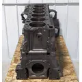 DETROIT DD15 Engine Assembly thumbnail 10