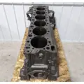 DETROIT DD15 Engine Assembly thumbnail 11