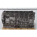 DETROIT DD15 Engine Assembly thumbnail 2