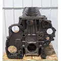DETROIT DD15 Engine Assembly thumbnail 3