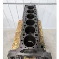 DETROIT DD15 Engine Assembly thumbnail 5