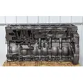 DETROIT DD15 Engine Assembly thumbnail 6