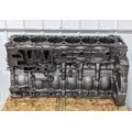 DETROIT DD15 Engine Assembly thumbnail 7